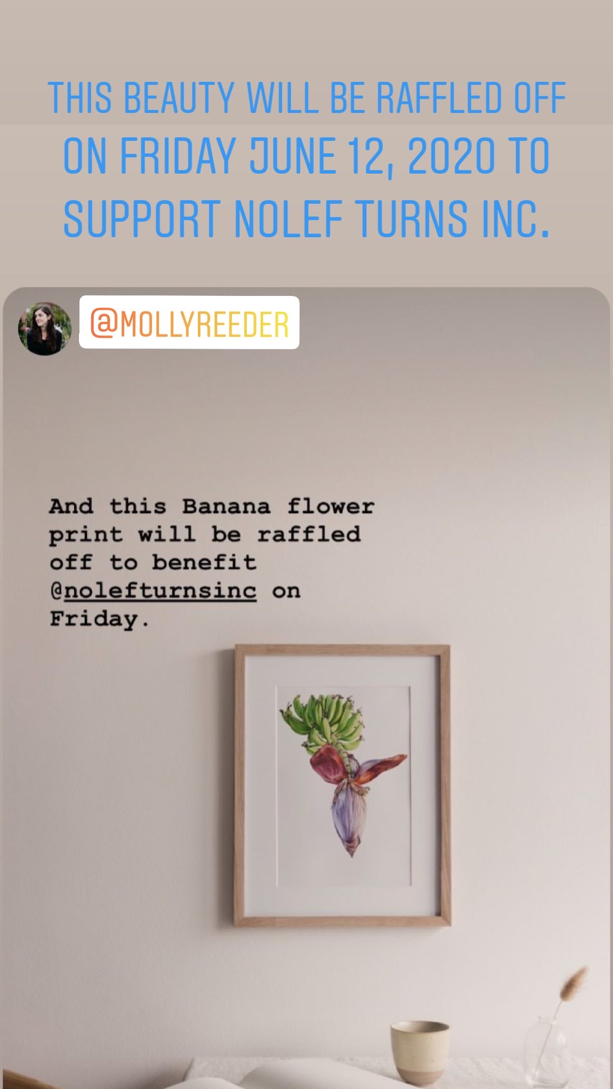 Art Auction to Benefit Nolef Turns Inc. hosted by Molly Reeder